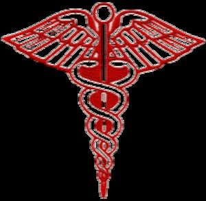 Meet your Posher, Alan